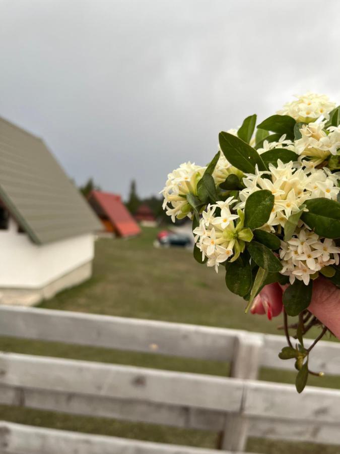 Bungalows Krstajic Žabljak Buitenkant foto