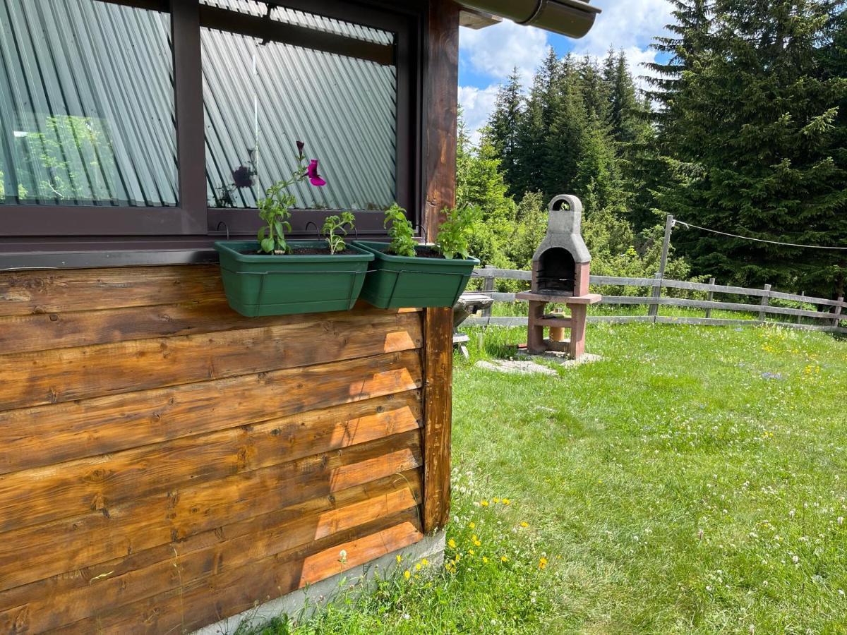 Bungalows Krstajic Žabljak Buitenkant foto